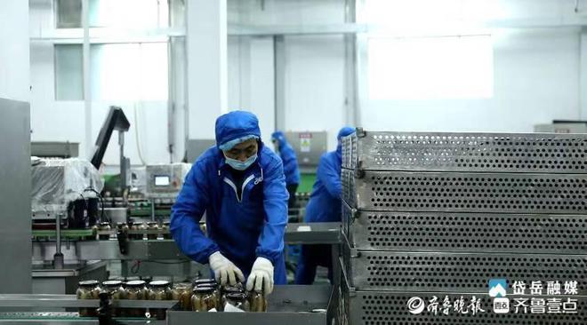 岱岳區范鎮 上下聯動，打造肉制品產業鏈融合發展新局面